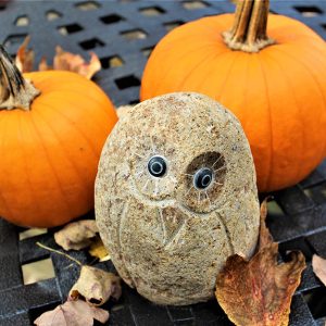 Owl and Pumpkins