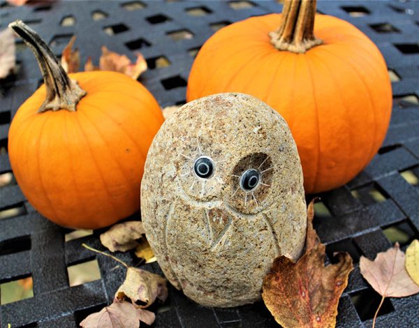 Owl and Pumpkins