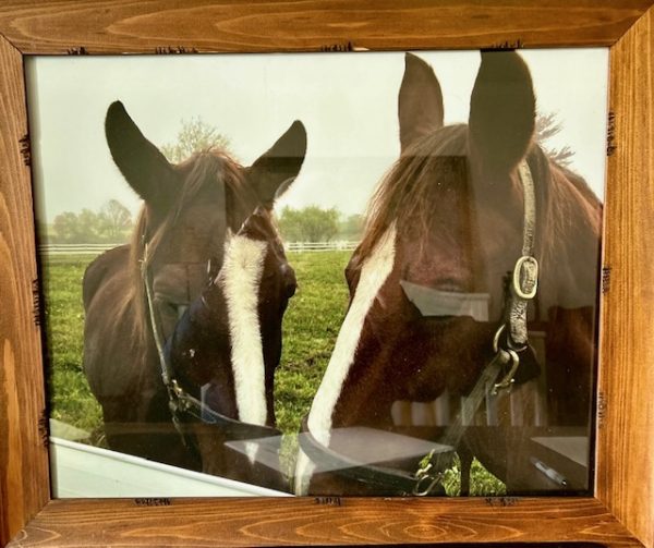 Horse Talk