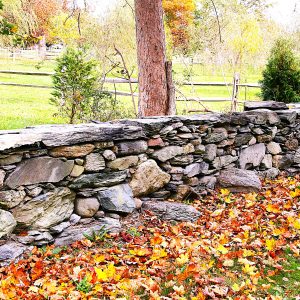 New England Fall