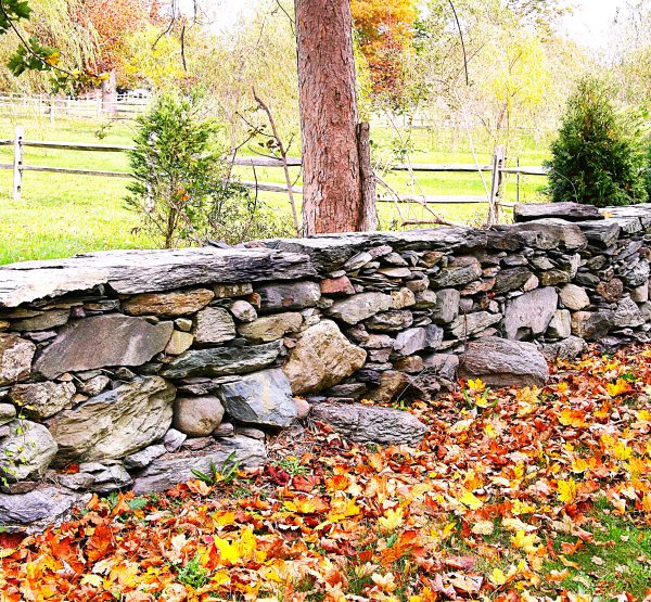 New England Fall