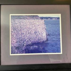 Ocean Walk Wall