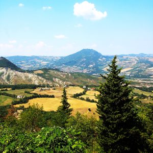 Tuscan Postcard