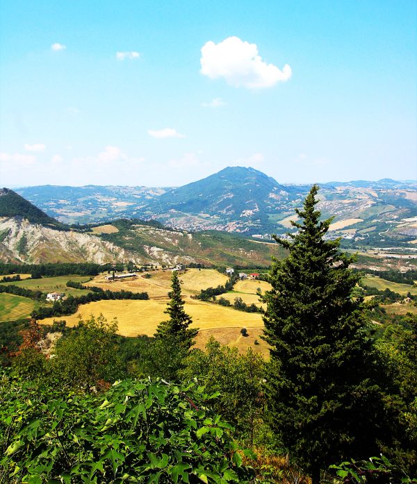 Tuscan Postcard