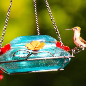 Humming Bird