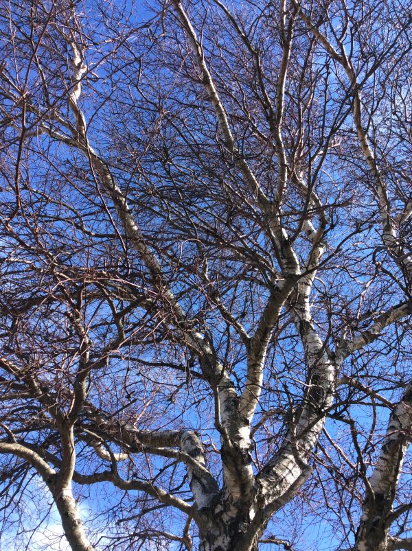 Intertwined