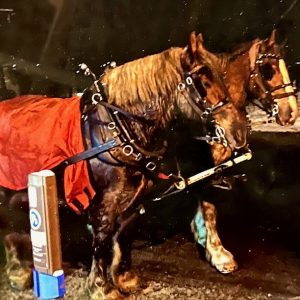Night Horses