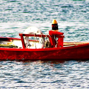 Red Boat