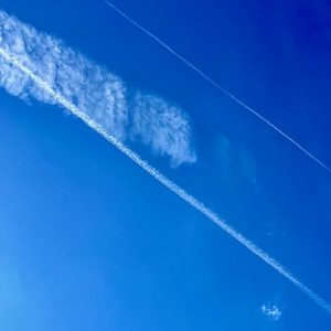 Sky Feather