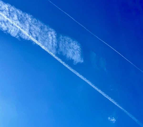 Sky Feather