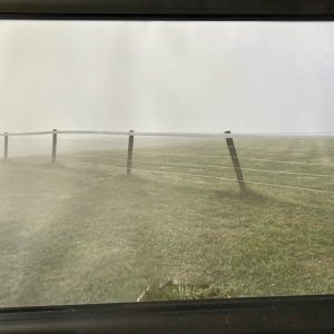 Fog Fence