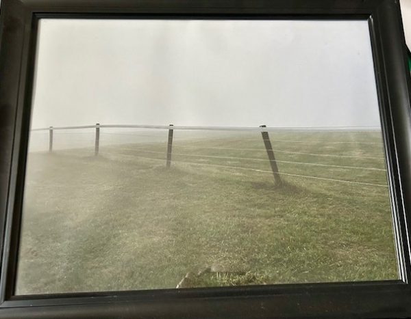 Fog Fence