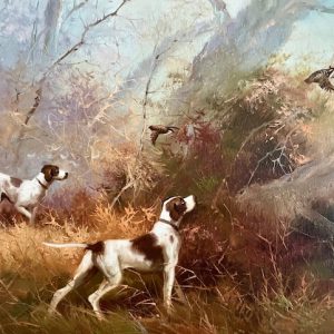 Bird Dogs