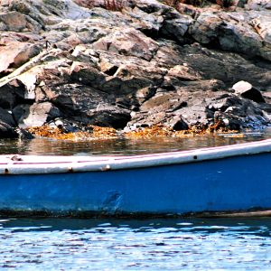 Blue Row Boat