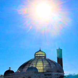 Botanical Sun)