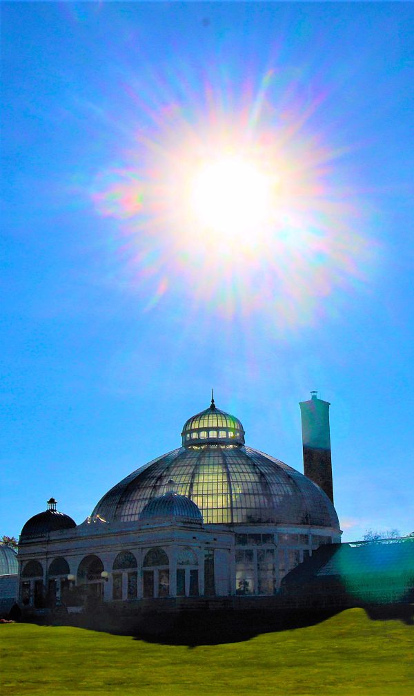 Botanical Sun)