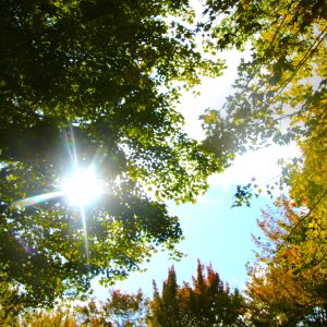 Breaking Through