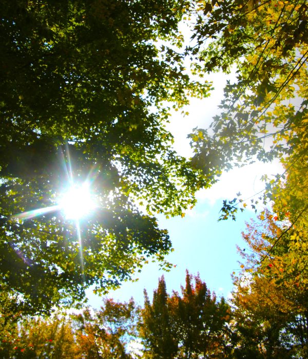 Breaking Through