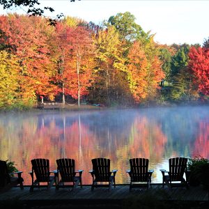 Fall Mist