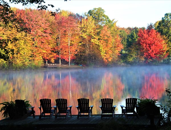 Fall Mist