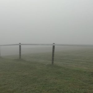 Fog Fence Jpg