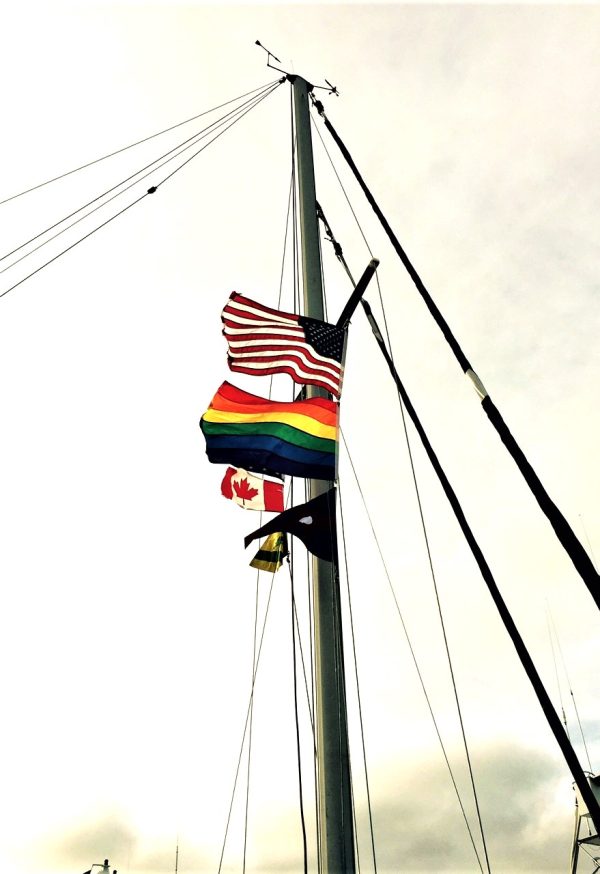 Freak Flags Flying